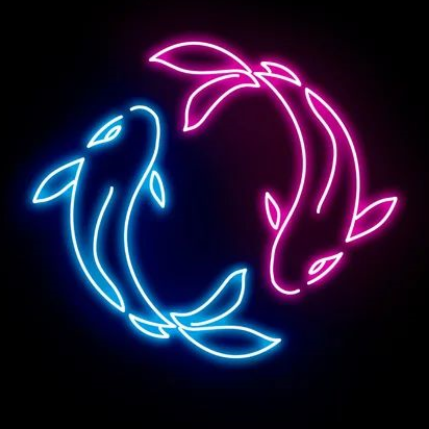 Ying and Yang Fish