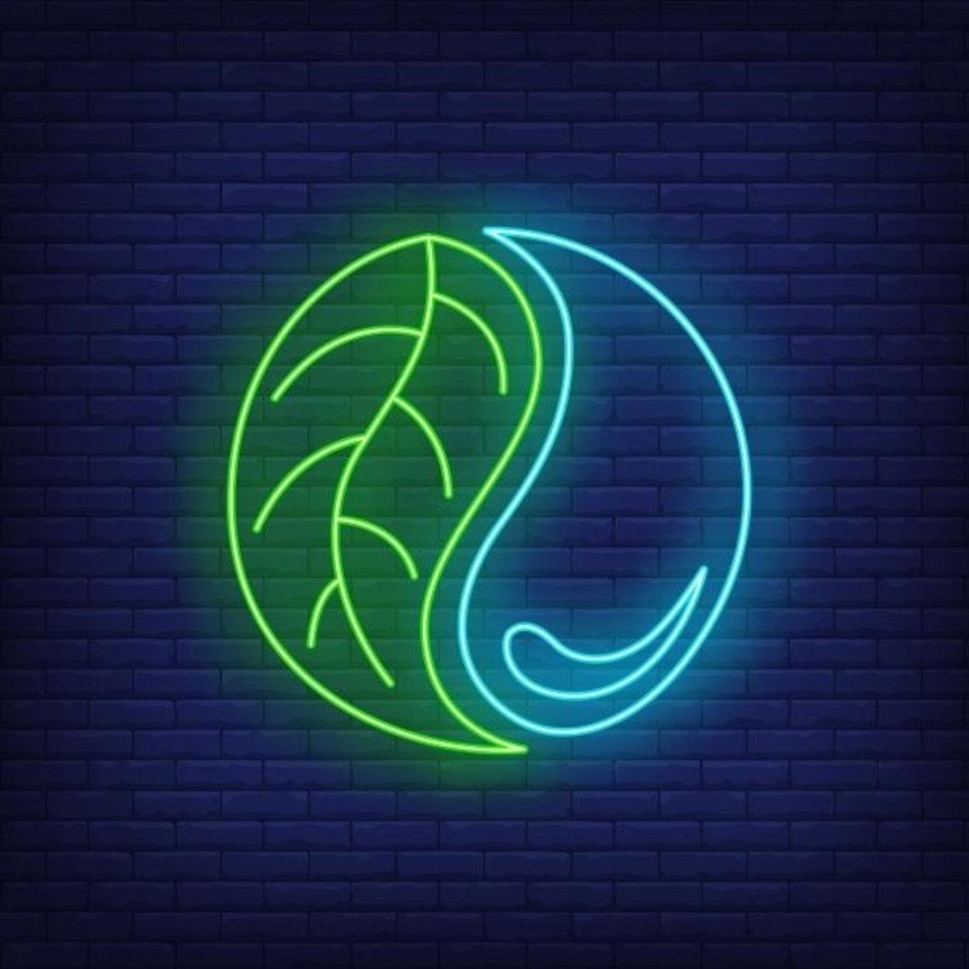 Ying And Yang Earth