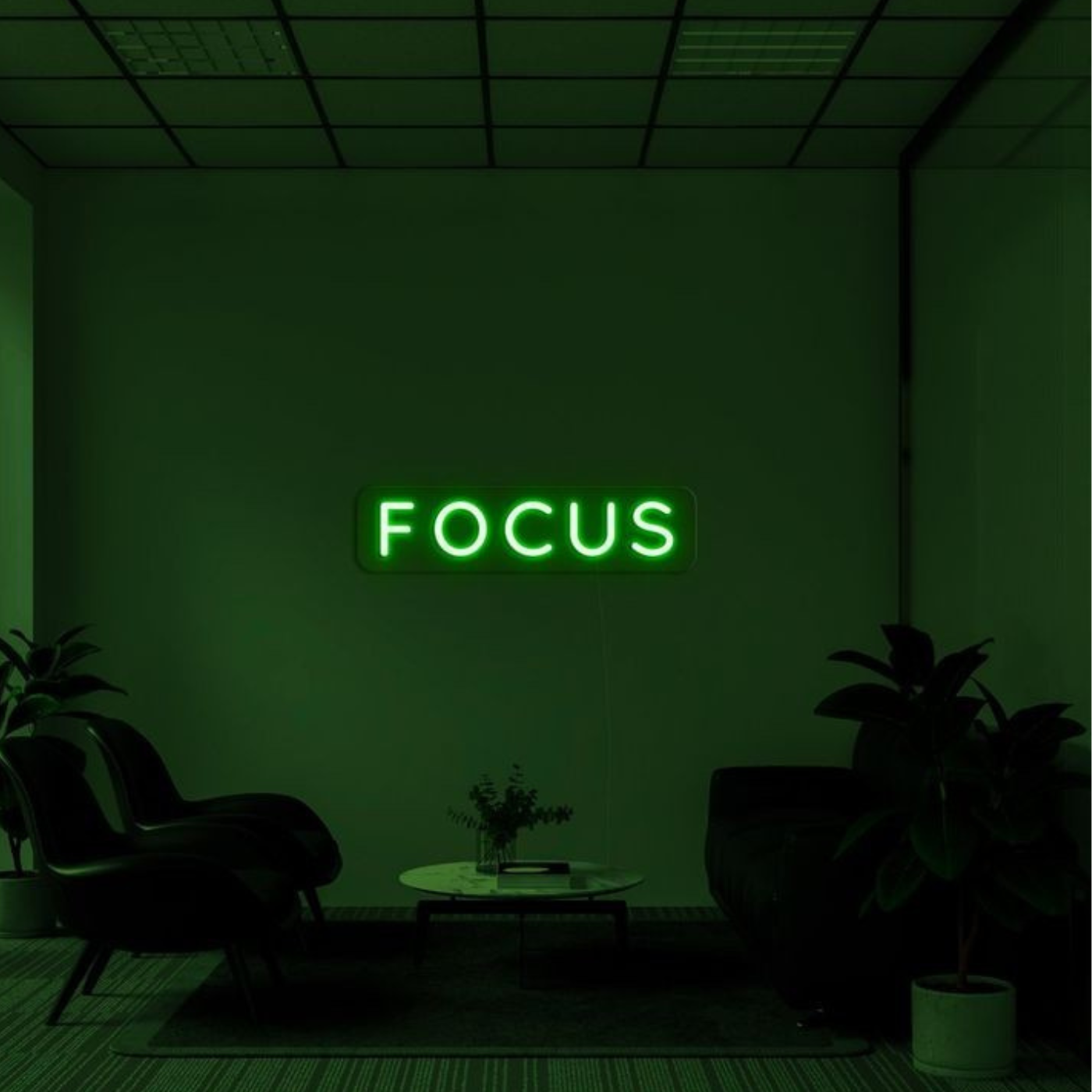Focus