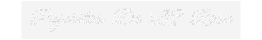 Neon LED PREMIUM Personalizado Pajaritos De ...